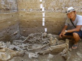 Aparece una tumba con nueve personas sacrificadas en Perú de la cultura Sicán