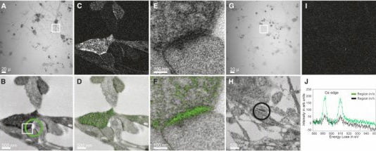Primeras imágenes en color de un microscopio electrónico