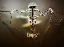 Vídeo: Ingenieros fabrican un robot que imita a los murciélagos