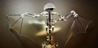 Vídeo: Ingenieros fabrican un robot que imita a los murciélagos