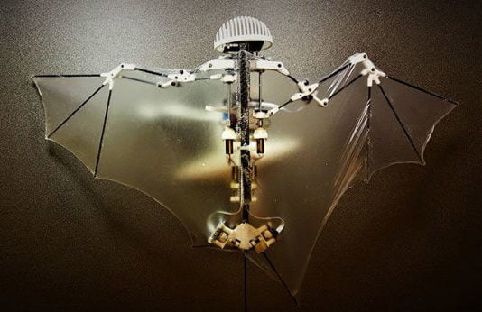 Vídeo: Ingenieros fabrican un robot que imita a los murciélagos