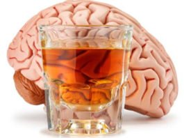 El consumo continuado de alcohol afecta más al cerebro de los hombres según un estudio