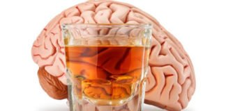 El consumo continuado de alcohol afecta más al cerebro de los hombres según un estudio