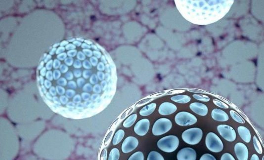 Obesidad y Diabetes: descubren una técnica para cambiar grasa blanca por parda