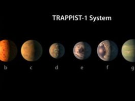 La NASA revela la existencia del mayor lote de planetas en la zona habitable conocido