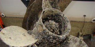 Un nuevo polímero lubricante puede alargar la vida de las embarcaciones marítimas