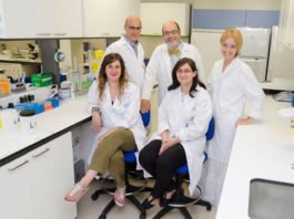 El Gregorio Marañón descubre el primer fármaco que actúa como protector del riñón