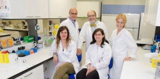 El Gregorio Marañón descubre el primer fármaco que actúa como protector del riñón