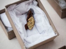 Descubierta tumba vikinga en Dinamarca, ¿puede ser la de Gorm el Viejo?