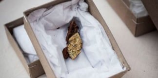 Descubierta tumba vikinga en Dinamarca, ¿puede ser la de Gorm el Viejo?