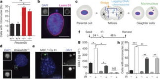 Según un estudio, nuestro mismo cuerpo podría detectar el cáncer en sus inicios