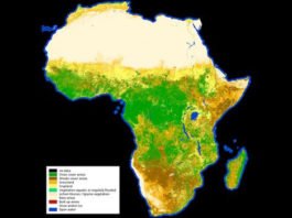 Mapa en alta resolución de la vegetación y el uso de la tierra en África