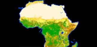 Mapa en alta resolución de la vegetación y el uso de la tierra en África