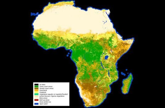 Mapa en alta resolución de la vegetación y el uso de la tierra en África