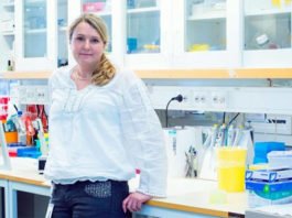 Logran bioimprimir cartílago gracias a la impresión 3D