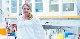 Logran bioimprimir cartílago gracias a la impresión 3D