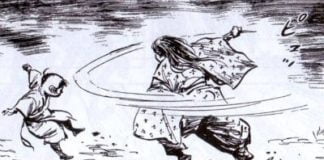 El nuevo Lobo Solitario y su cachorro 1