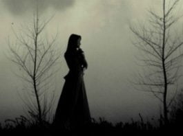 El invierno más largo, de Cecilia Ekbäck: lo que el monte se lleva y no devuelve