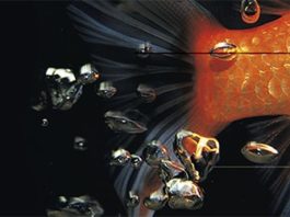 Atrapa al pez dorado, de David Lynch: consejos para fomentar la creatividad (y para la vida)