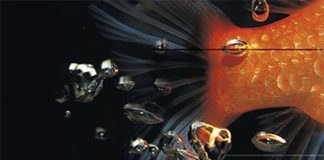 Atrapa al pez dorado, de David Lynch: consejos para fomentar la creatividad (y para la vida)