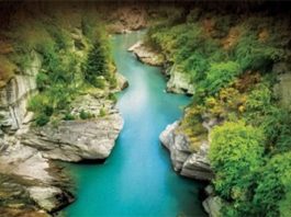 El rumor de la caracola, de Sarah Lark: Retorno a Nueva Zelanda