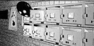 Semillas de Ansiedad 3