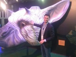 Entrevista a Mario Ballesteros por The Last Guardian y Horizon: Zero Dawn