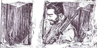 El nuevo Lobo Solitario y su cachorro 2