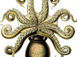 Gestarescala, de Philip K. Dick: enloquecida e irónica búsqueda del ego