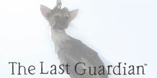 The Last Guardian