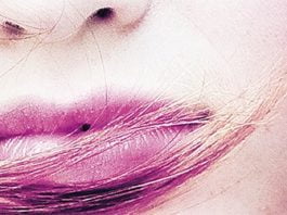 Flower, un amor intenso, de Elizabeth Craft y Shea Olsen: lectura rápida