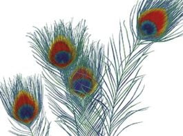 Reflejos en un ojo dorado, de Carson McCullers: Magistral lección de humanidad, tensión y ritmo