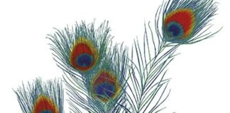 Reflejos en un ojo dorado, de Carson McCullers: Magistral lección de humanidad, tensión y ritmo