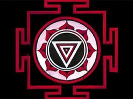 La sombra de la montaña, de Gregory David Roberts: una decepción inesperada