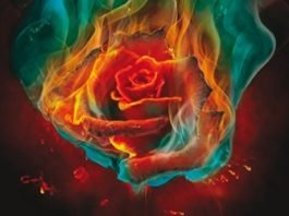 Una sombra brillante y ardiente, de Jessica Cluess: magia en el Londres victoriano