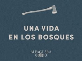 El libro de la madera, de Lars Mytting: una oda a la vida lenta para urbanitas