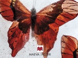 Mariposas heladas, de Katarzyna Puzynska: un acertado comienzo de serie