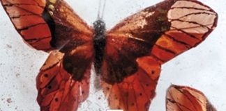 Mariposas heladas, de Katarzyna Puzynska: un acertado comienzo de serie