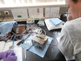 Cómo cosechar oxígeno en el espacio: microalgas