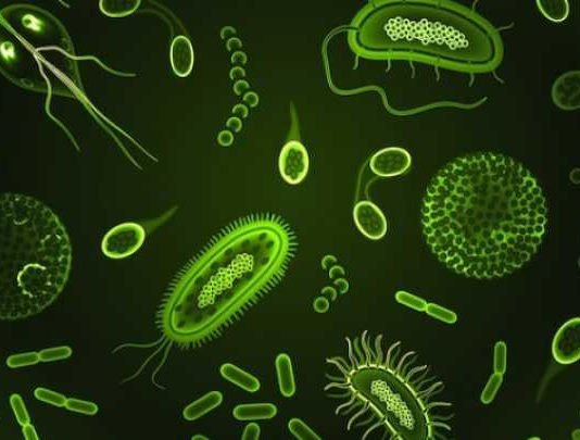 Yo contengo multitudes, de Ed Yong: los microbios que nos habitan y una visión amplia de la vida