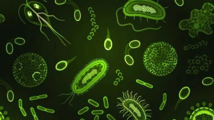 microbios