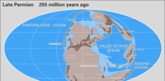 El cambio climático y el período pérmico… ¿Qué lecciones extraer del pasado?