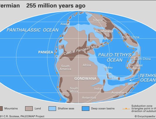 El cambio climático y el período pérmico… ¿Qué lecciones extraer del pasado?