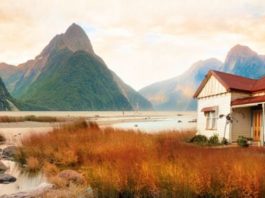 «Bajo cielos lejanos», de Sarah Lark, nos vuelve a guiar por una Nueva Zelanda desconocida