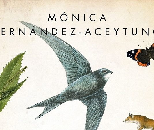 La editorial Espasa publica en enero «El país de los pájaros que duermen en el aire»