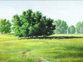 La próxima semana, Ediciones Siruela publica «La meditación y el arte de dibujar»