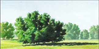 La próxima semana, Ediciones Siruela publica «La meditación y el arte de dibujar»