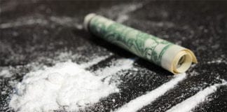 Un estudio identifica a una proteína envuelta en la adicción a la cocaína