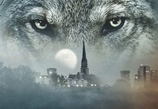Maeva publica ‘El lobo feroz’, la nueva novela de Nele Neuhaus
