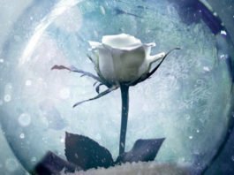 Canción de Invierno, de S. Jae-Jones, en 2018 en Roca editorial